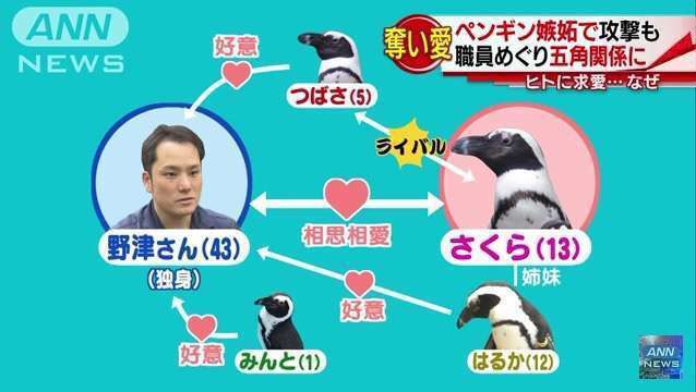 【笑いのツボが浅い人歓迎】ちょっとでもフフッ‥ってなったらプラスを押すトピ【画像・gif】