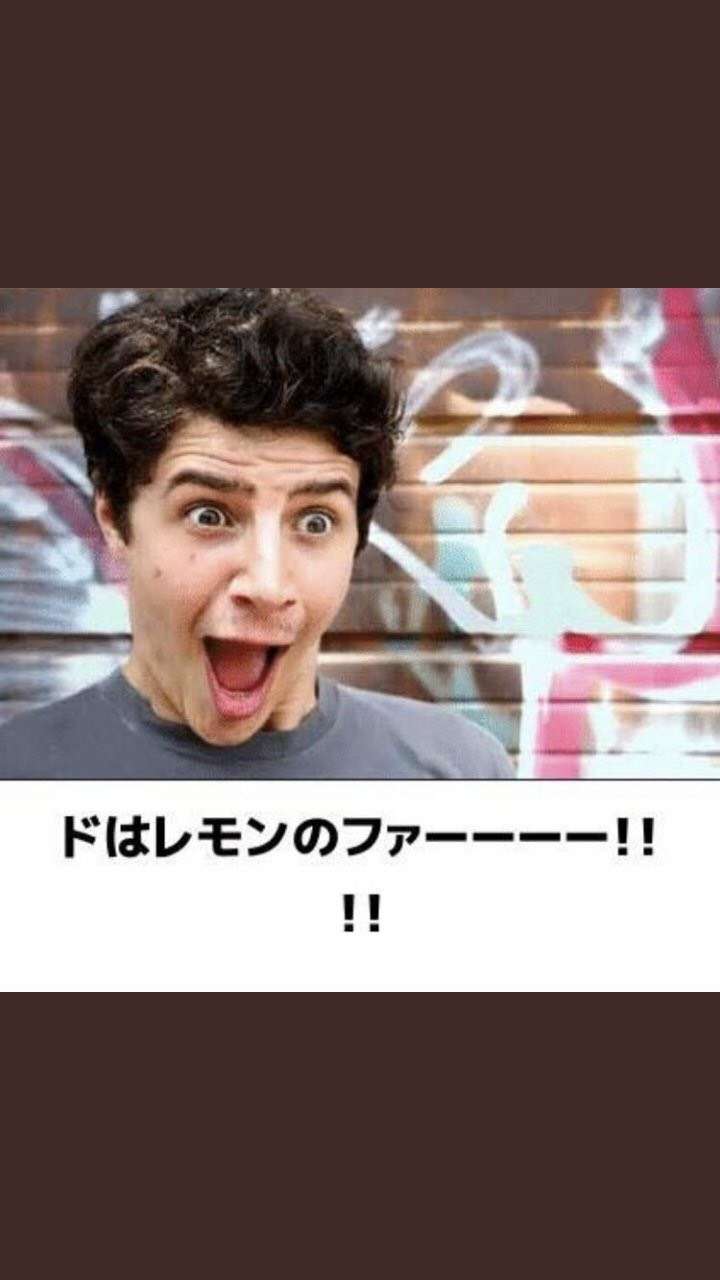 【笑いのツボが浅い人歓迎】ちょっとでもフフッ‥ってなったらプラスを押すトピ【画像・gif】