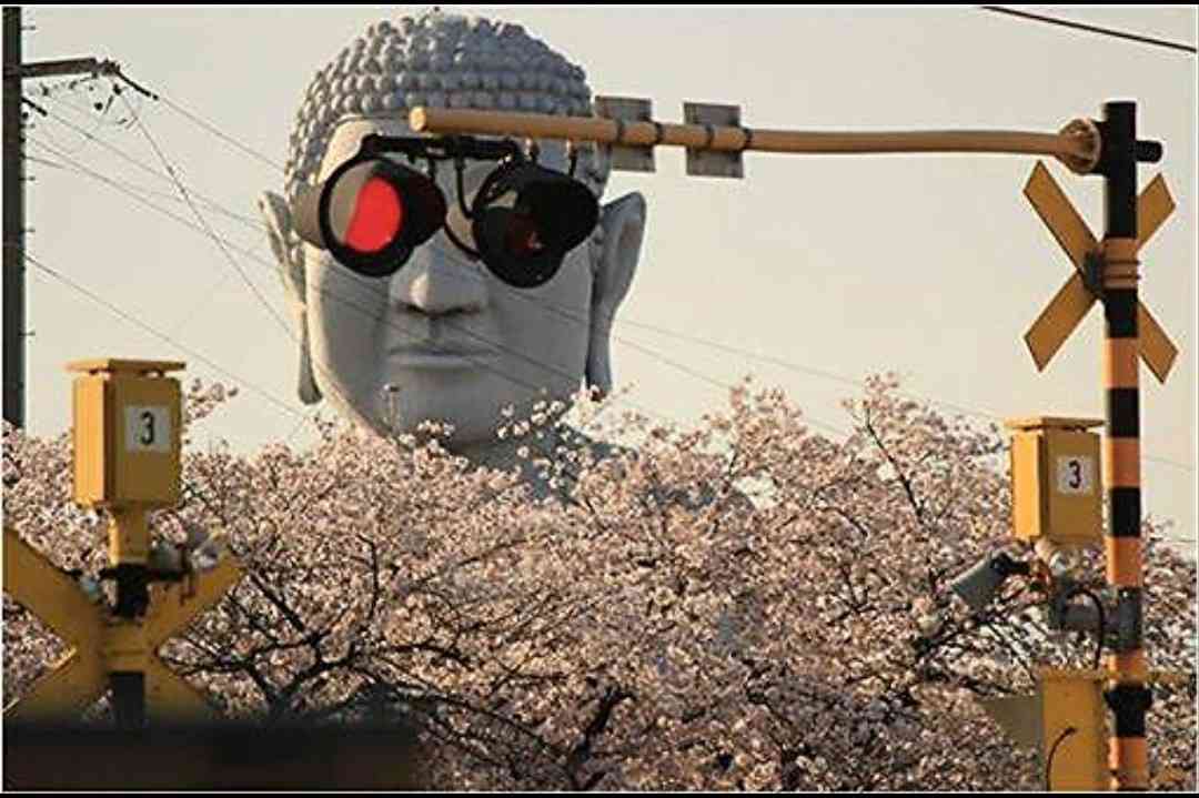 【笑いのツボが浅い人歓迎】ちょっとでもフフッ‥ってなったらプラスを押すトピ【画像・gif】