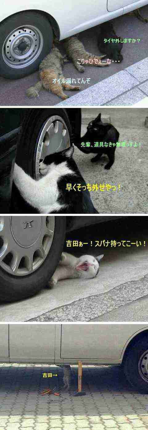 【笑いのツボが浅い人歓迎】ちょっとでもフフッ‥ってなったらプラスを押すトピ【画像・gif】