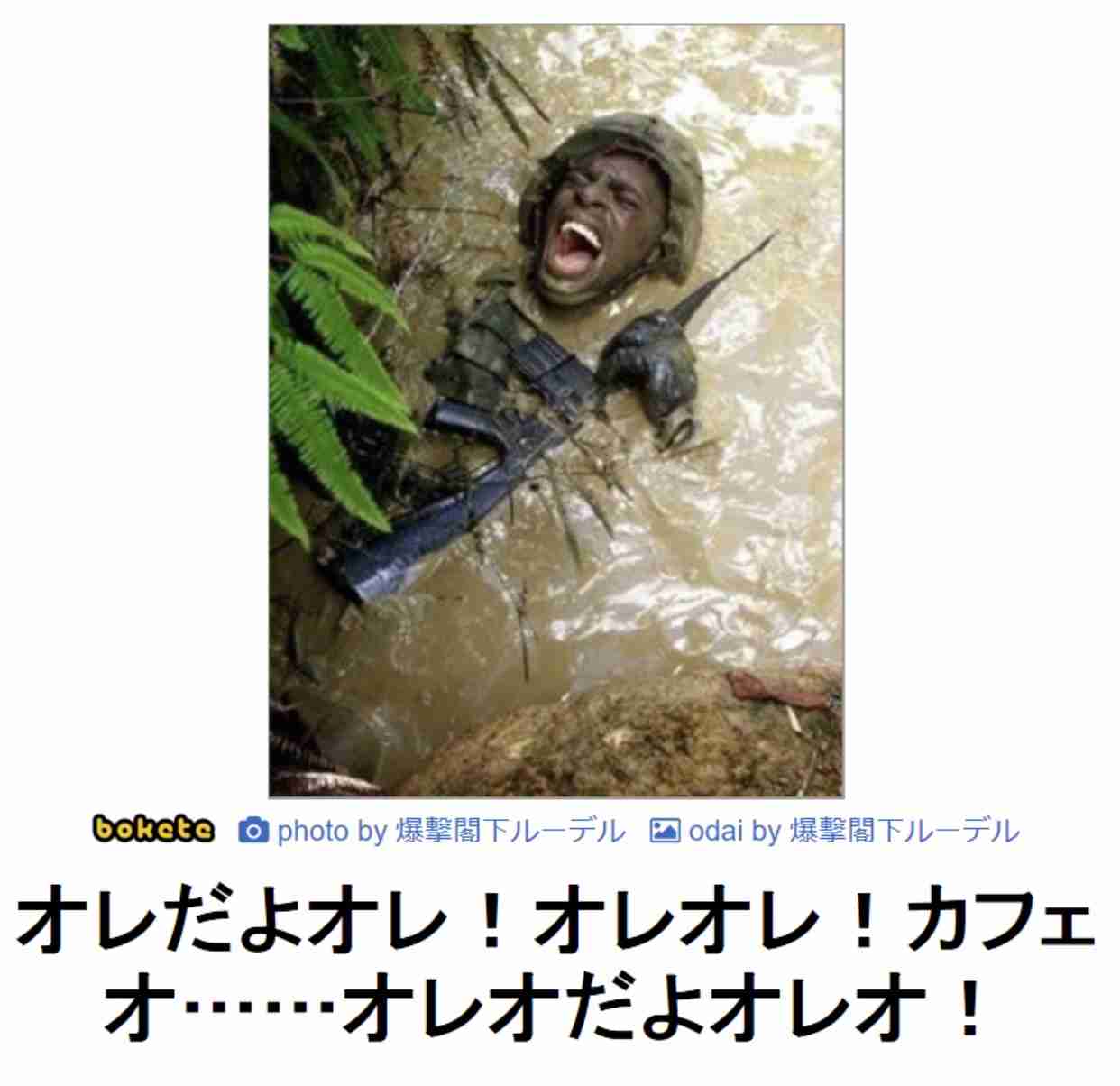 【笑いのツボが浅い人歓迎】ちょっとでもフフッ‥ってなったらプラスを押すトピ【画像・gif】
