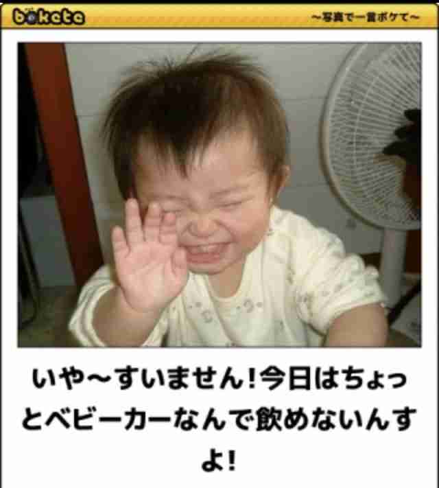 【笑いのツボが浅い人歓迎】ちょっとでもフフッ‥ってなったらプラスを押すトピ【画像・gif】