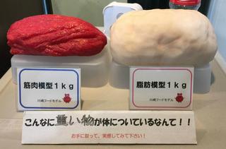 彼氏、旦那さんがぽっちゃり好きの人