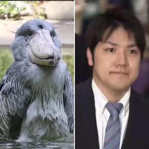 小室圭さんの母・佳代さんに脱税疑惑…税務調査の可能性も