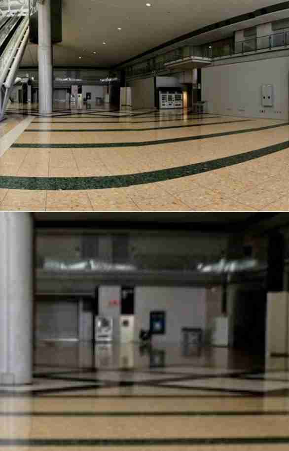 小室圭さんの母・佳代さんに脱税疑惑…税務調査の可能性も