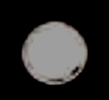 小室圭さんの母・佳代さんに脱税疑惑…税務調査の可能性も