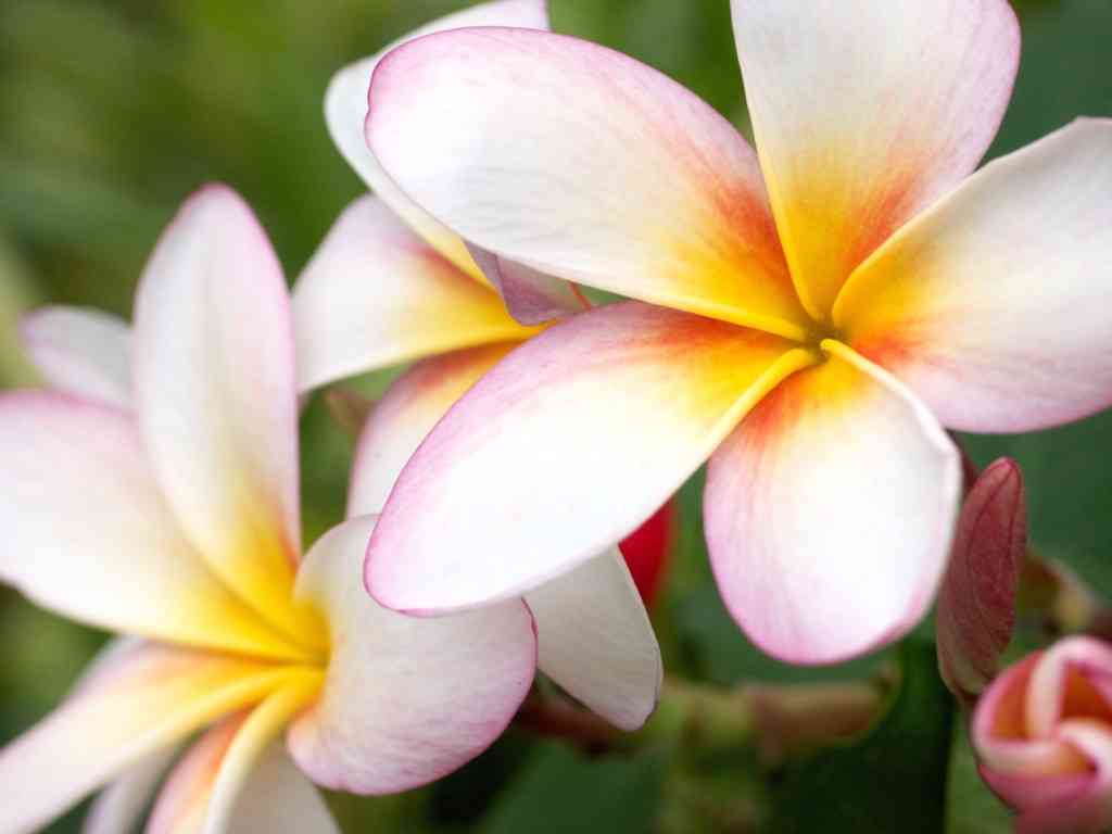 結婚式で使用した音楽