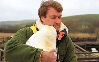 甘えちゃってる画像を貼るトピ