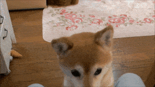 甘えちゃってる画像を貼るトピ