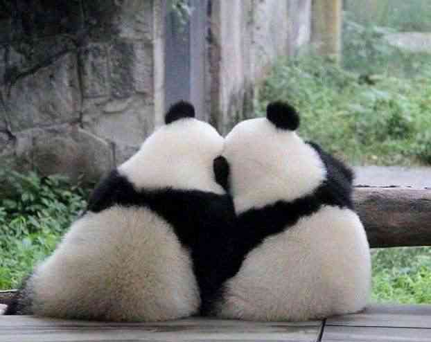 甘えちゃってる画像を貼るトピ