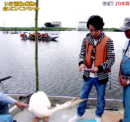 甘えちゃってる画像を貼るトピ