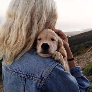 甘えちゃってる画像を貼るトピ