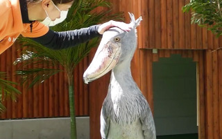 甘えちゃってる画像を貼るトピ