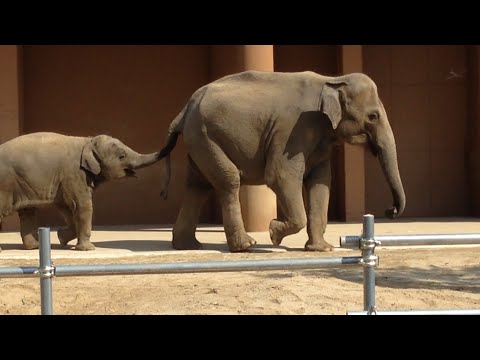 甘えちゃってる画像を貼るトピ