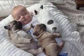 甘えちゃってる画像を貼るトピ