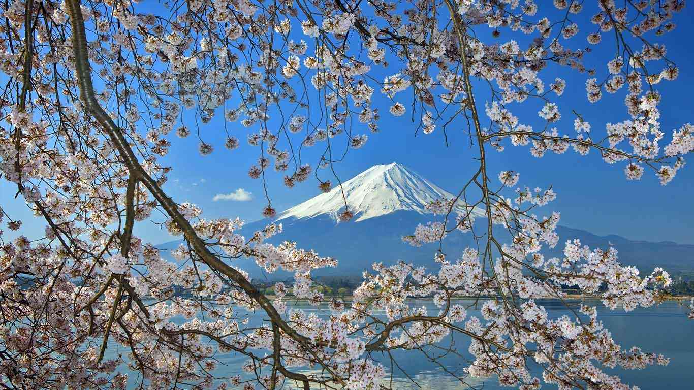 美しい日本の画像を貼っていくトピ