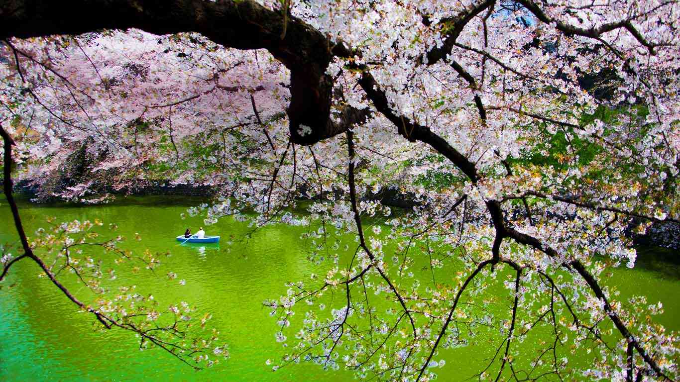 美しい日本の画像を貼っていくトピ