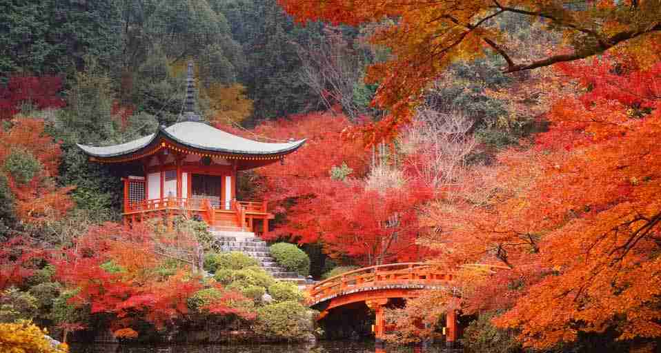 美しい日本の画像を貼っていくトピ