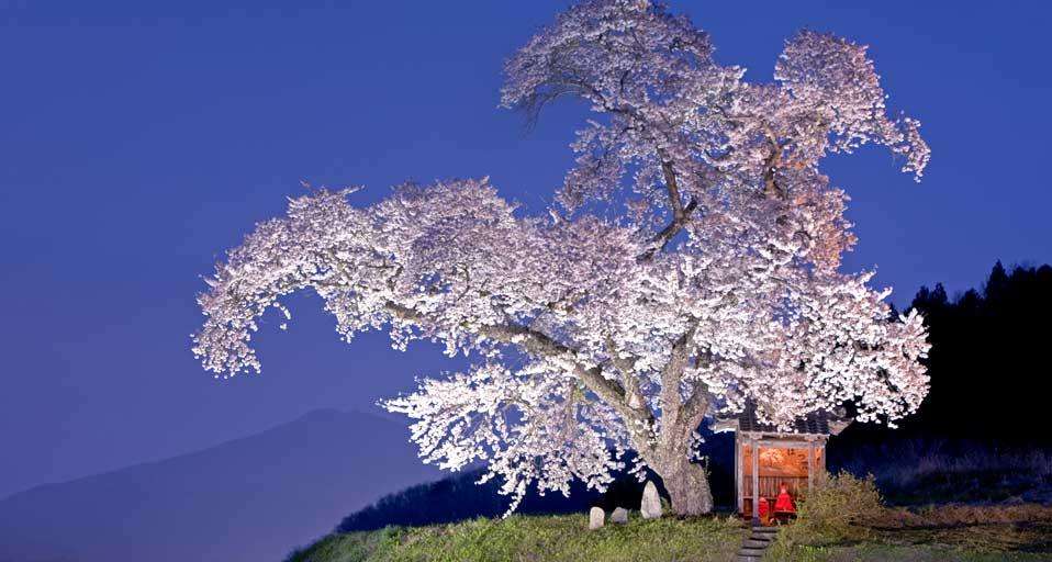 美しい日本の画像を貼っていくトピ
