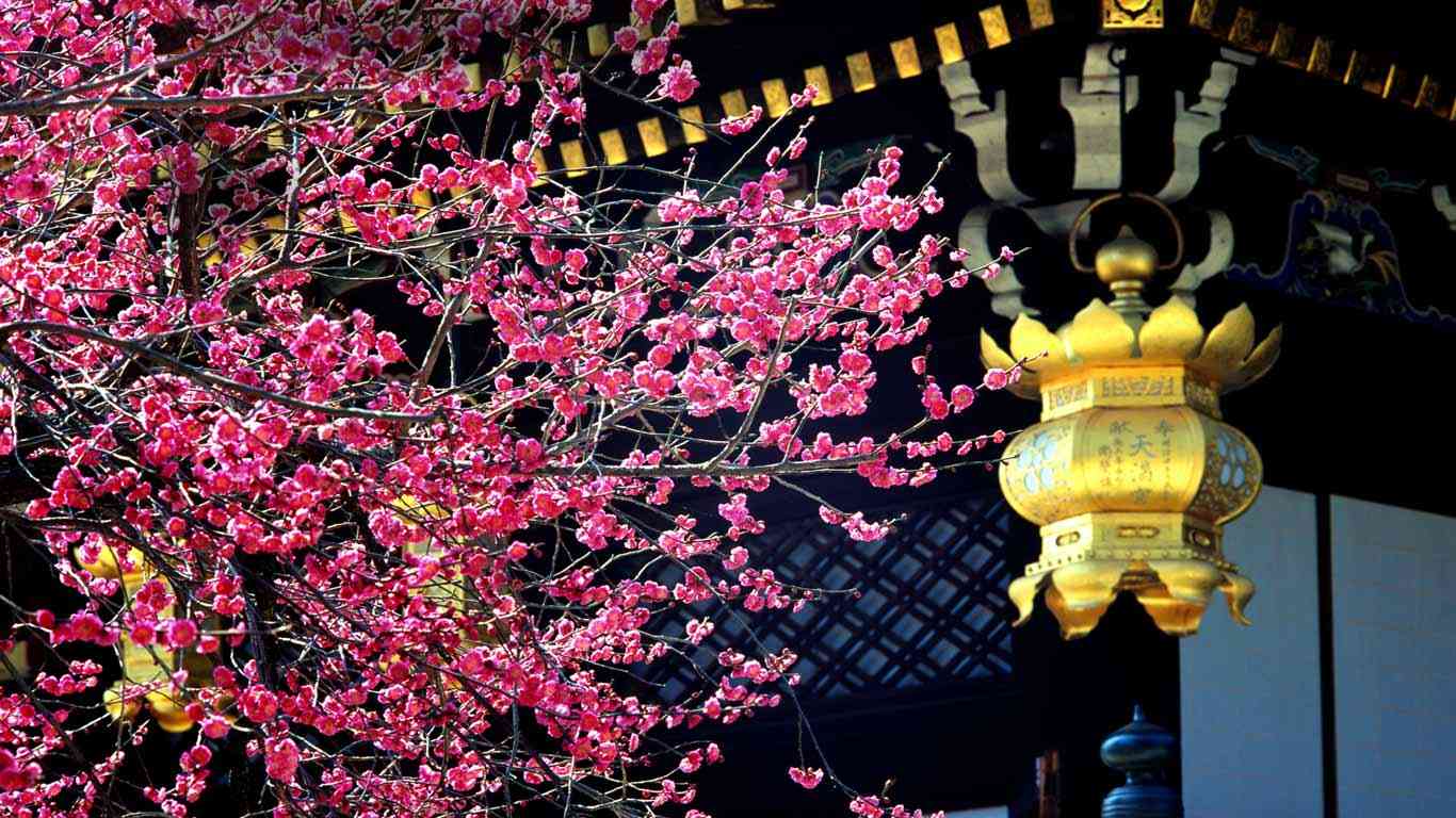 美しい日本の画像を貼っていくトピ