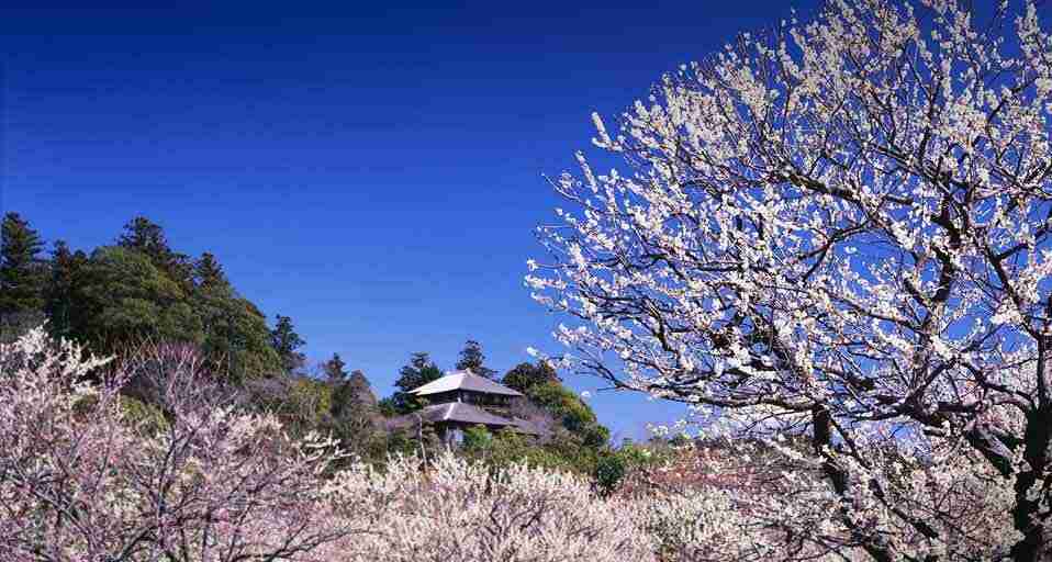 美しい日本の画像を貼っていくトピ