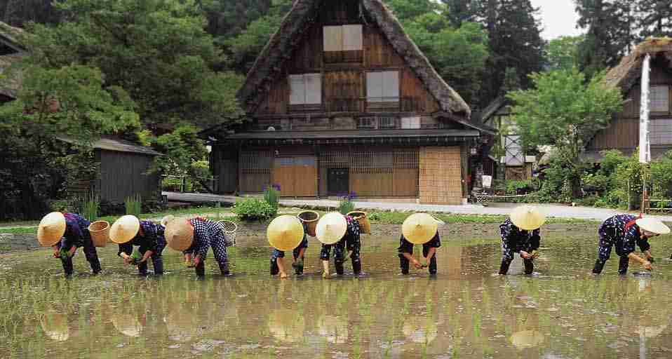 美しい日本の画像を貼っていくトピ