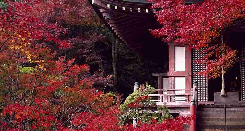 美しい日本の画像を貼っていくトピ