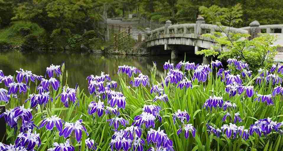 美しい日本の画像を貼っていくトピ