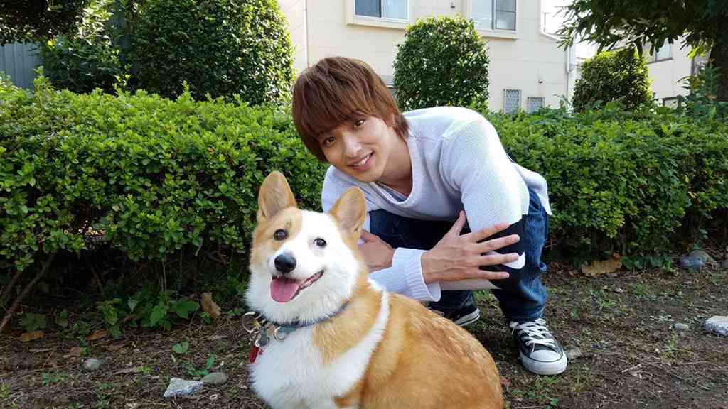 「はじこい」で話題の横浜流星、ヒゲ姿披露 4年ぶり写真集で“男の色気全開”