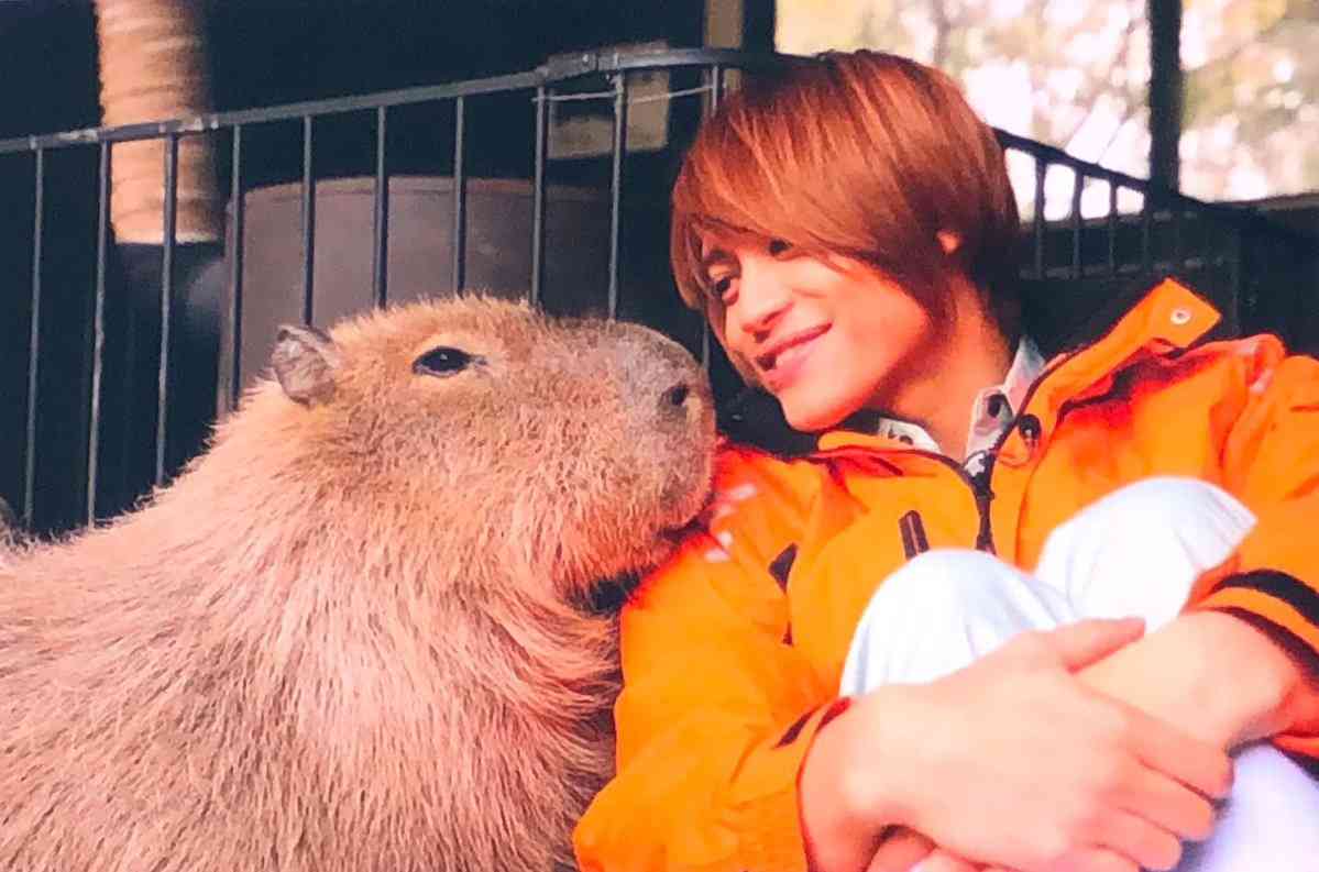 藤井流星くん好きな方！！