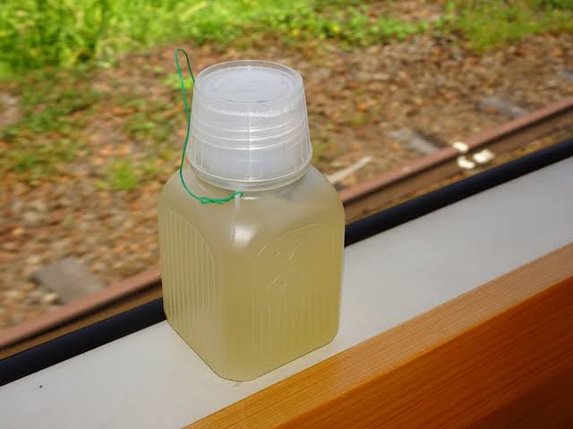 水筒(マイボトル)のおすすめ！