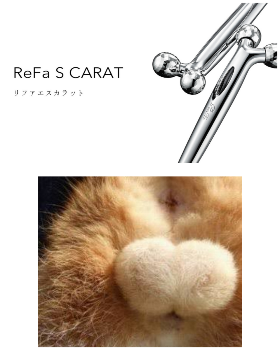 ReFa リファ使用したことがある方