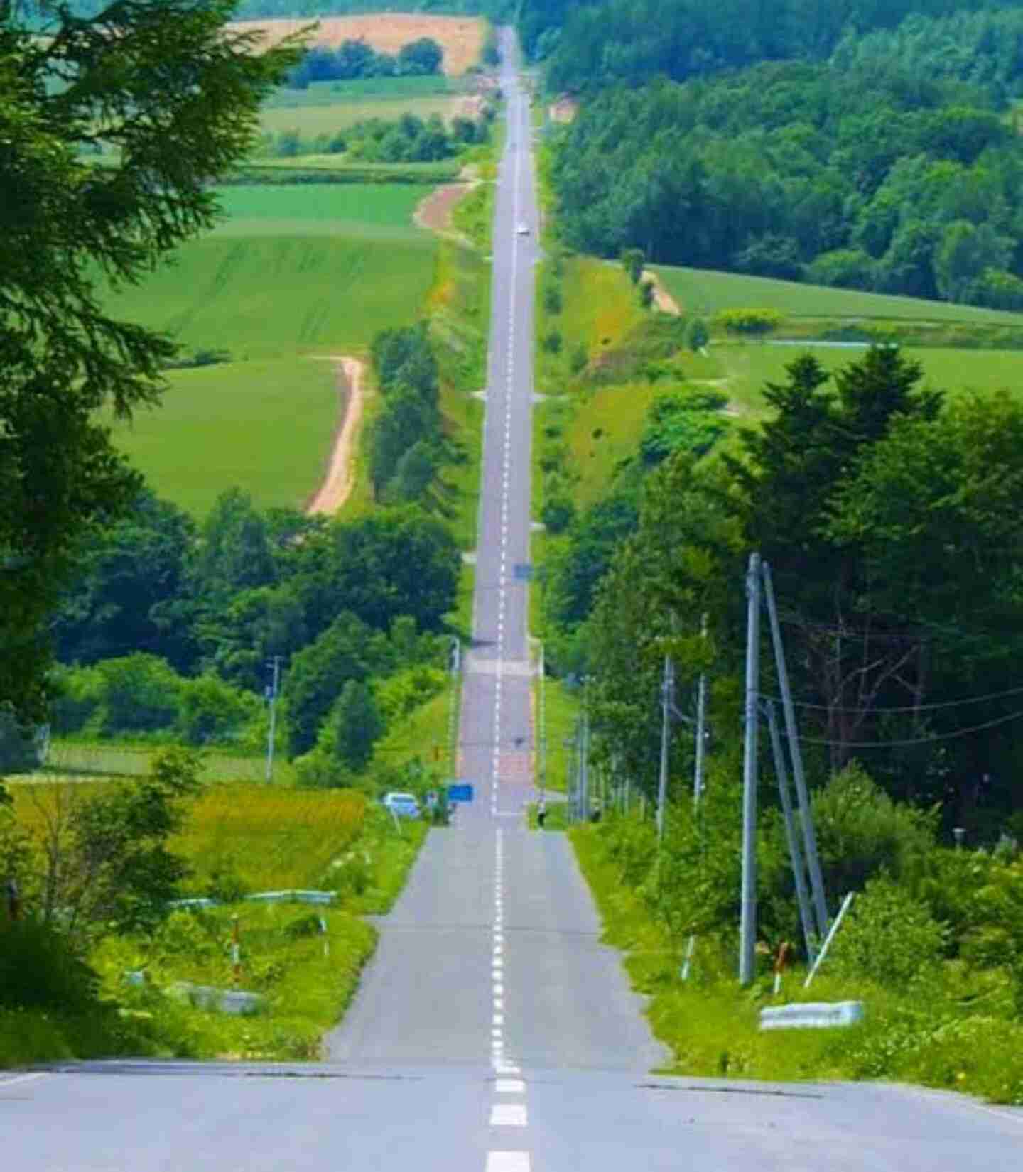 坂道の画像を貼るトピ