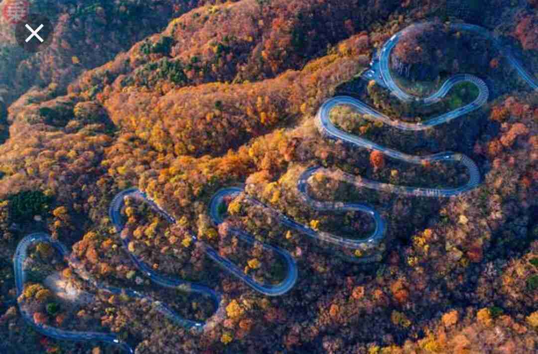 坂道の画像を貼るトピ