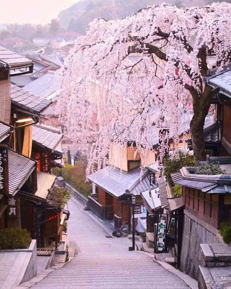 坂道の画像を貼るトピ