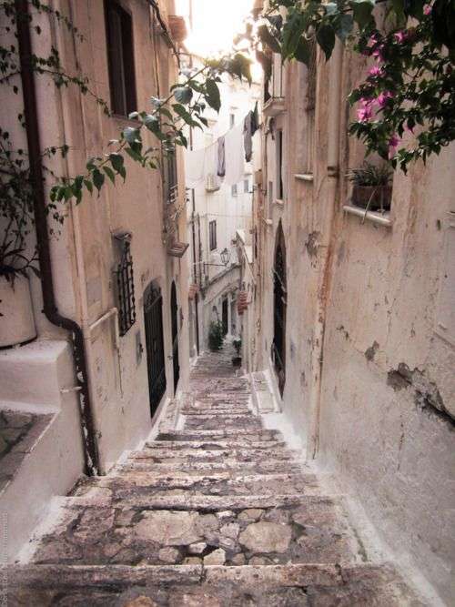 坂道の画像を貼るトピ