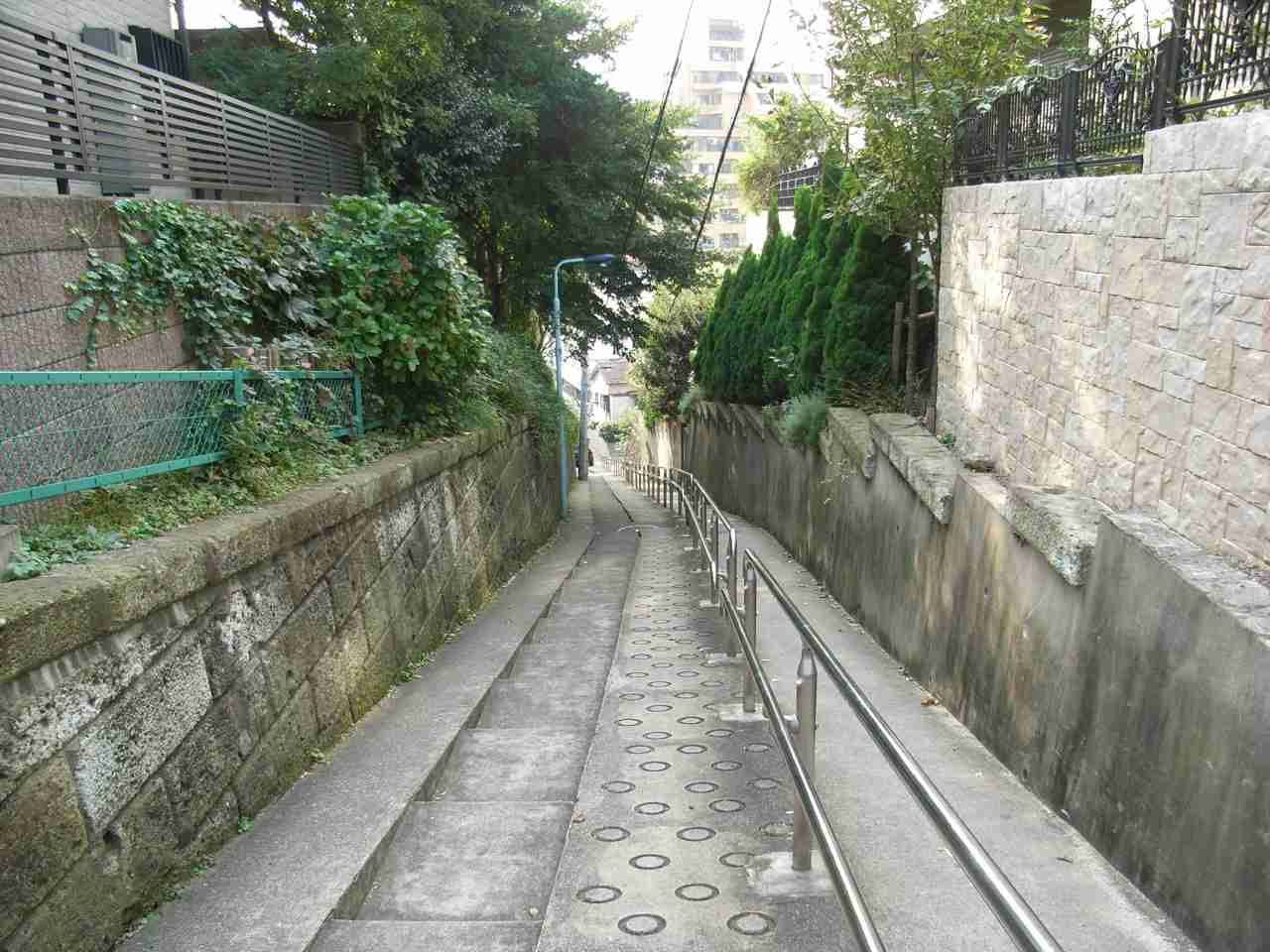 坂道の画像を貼るトピ