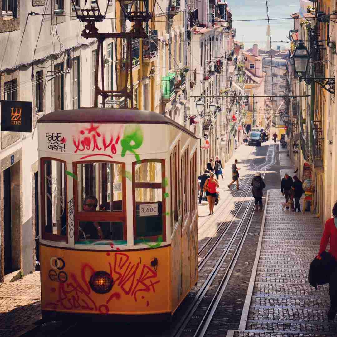 坂道の画像を貼るトピ