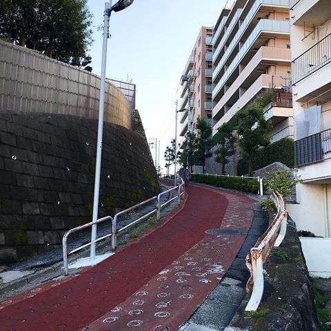 坂道の画像を貼るトピ