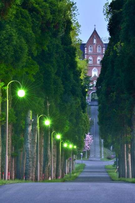 坂道の画像を貼るトピ