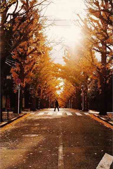 坂道の画像を貼るトピ