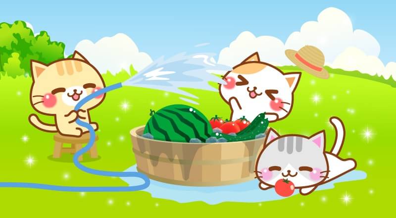 ガルちゃんで画像(サイト)を貼り付ける方法&練習Part20