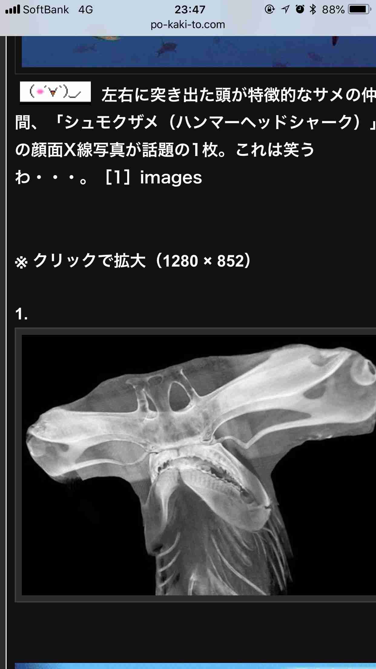 ガルちゃんで画像(サイト)を貼り付ける方法&練習Part20