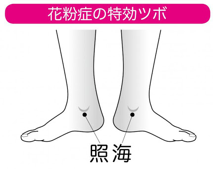ガルちゃんで画像(サイト)を貼り付ける方法&練習Part20