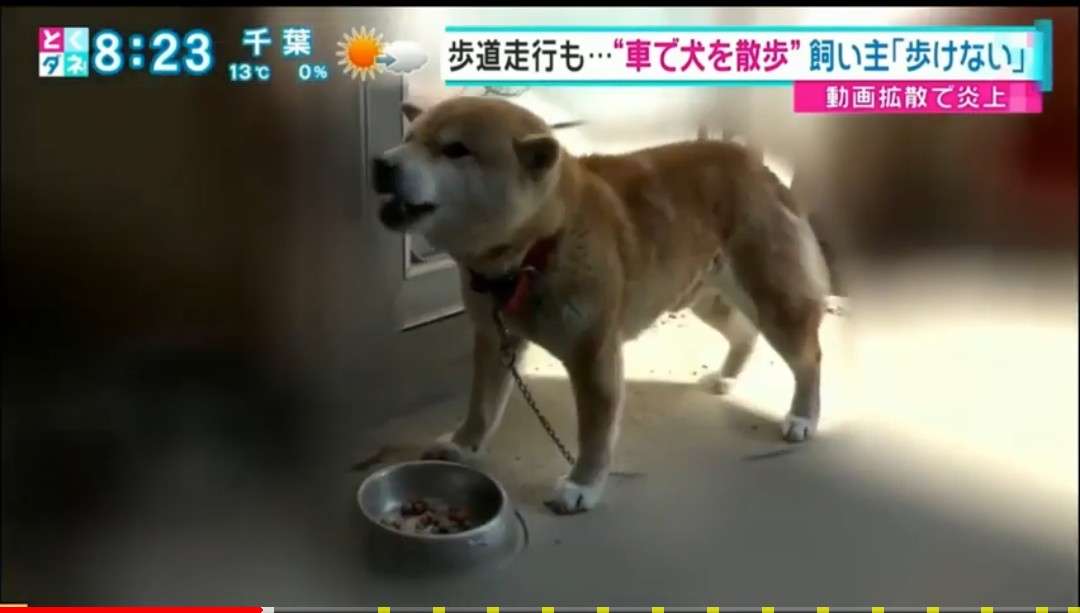 ガルちゃんで画像(サイト)を貼り付ける方法&練習Part20