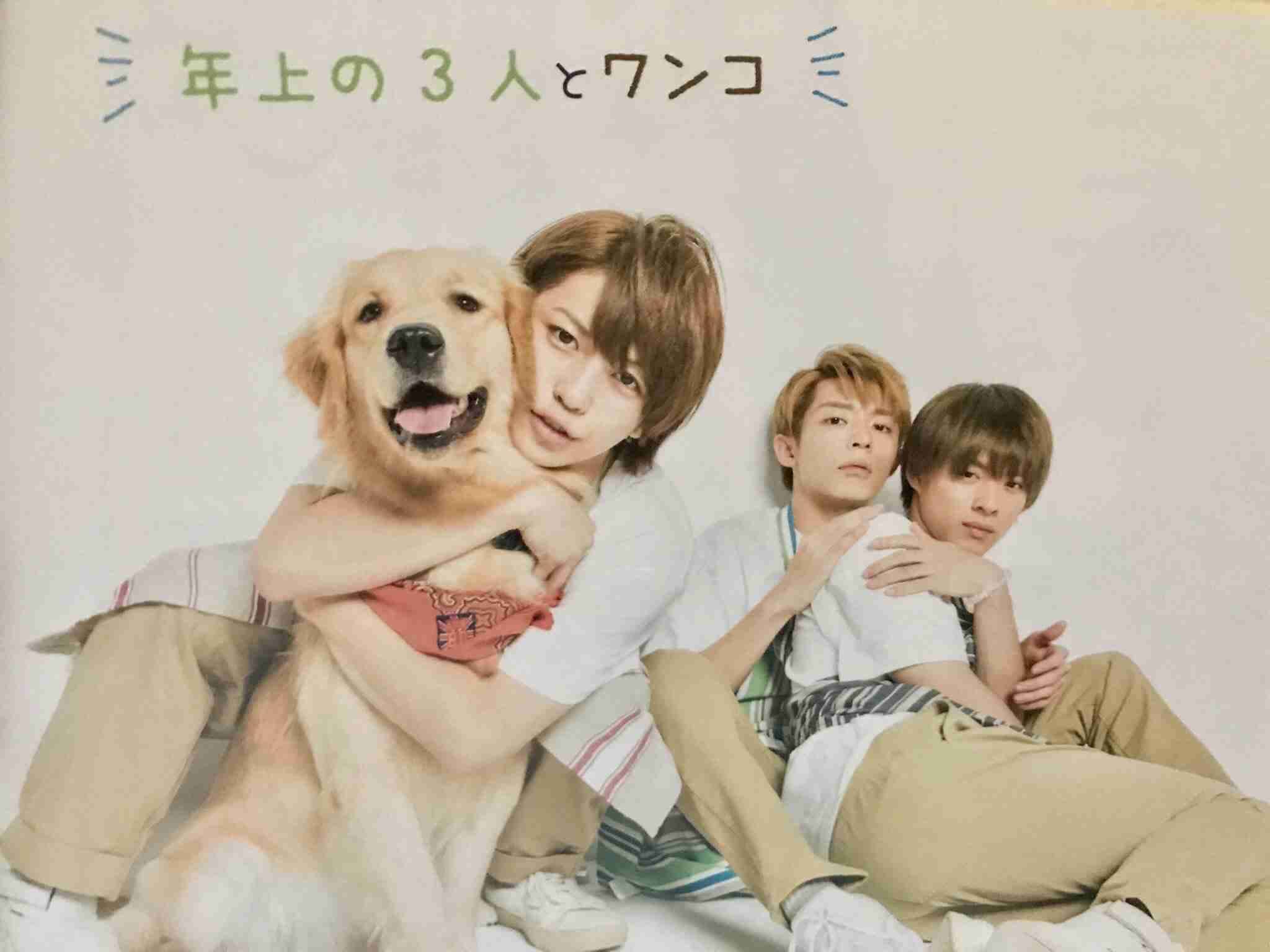 キンプリ新年の誓い「6人で冠番組」療養中・岩橋玄樹の分も…平野紫耀、睡眠1時間で主演舞台