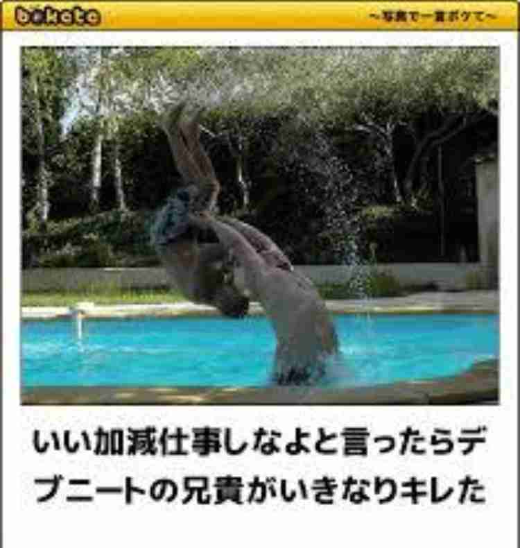 何度見ても秀逸だと思う「bokete」を貼っていくトpart2