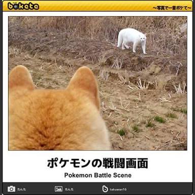 何度見ても秀逸だと思う「bokete」を貼っていくトpart2