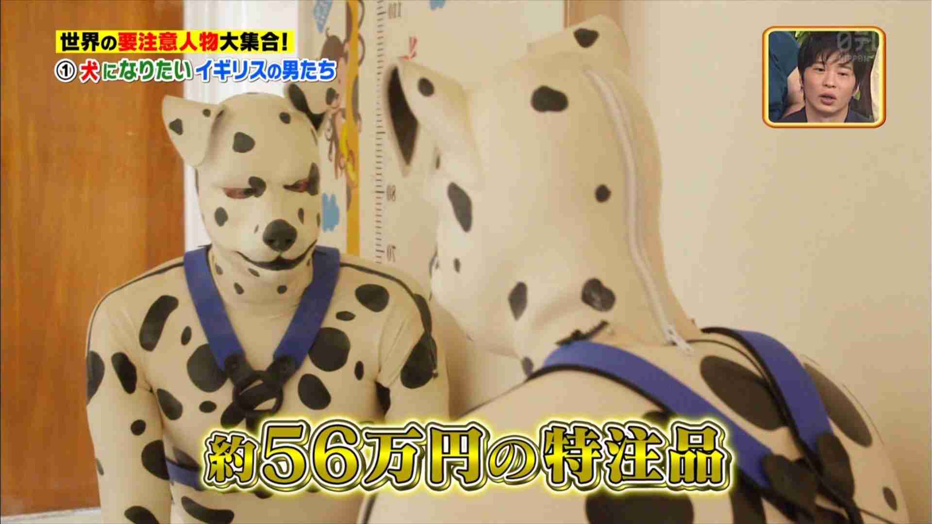 可愛いペットに変身、超リアルなマスクの受付を「My Family」が開始