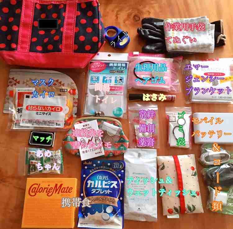 【0次の】防災ポーチ【備え】